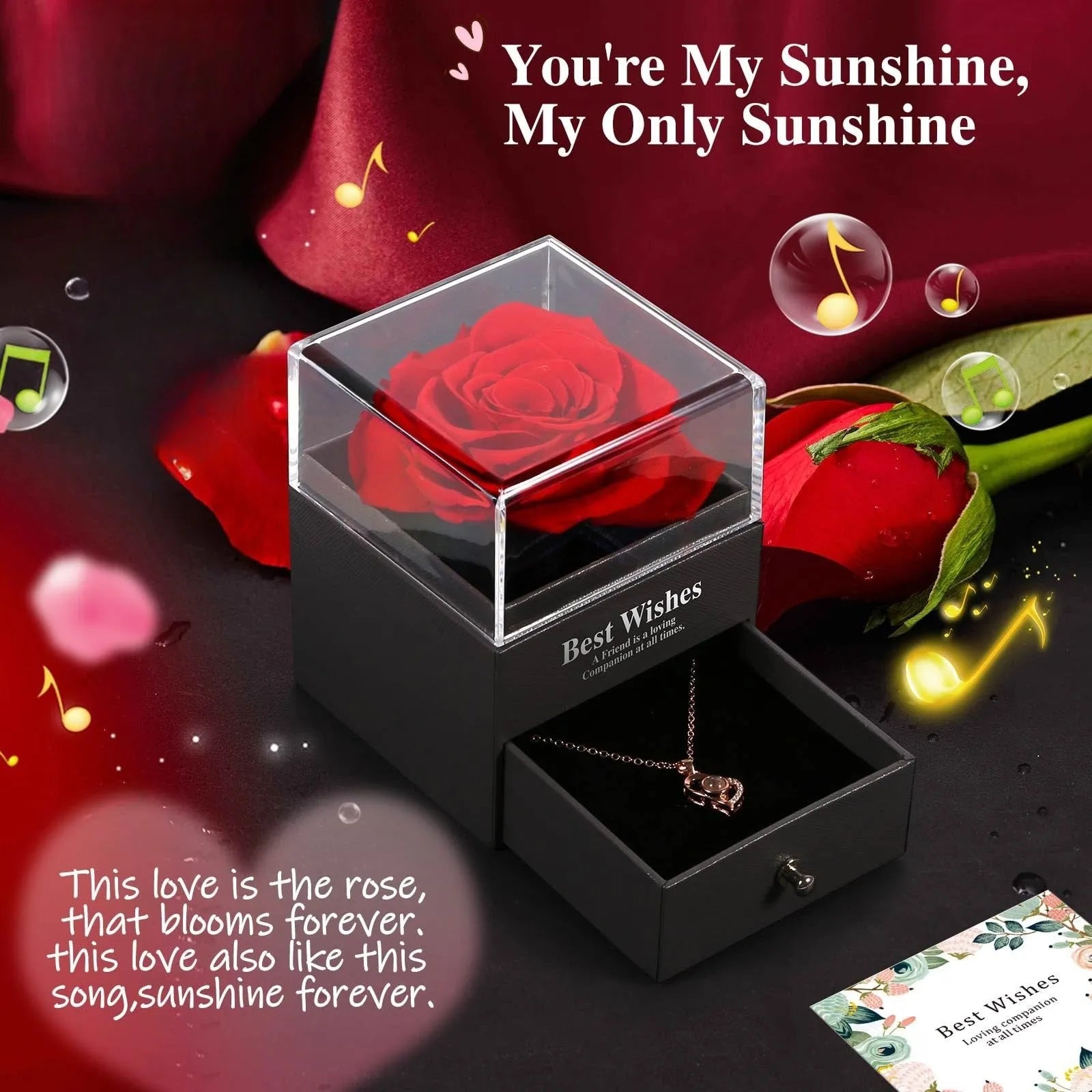 Preserved Red Rose with “I Love You” Necklace – 100 Languages Eternal Flower Gift