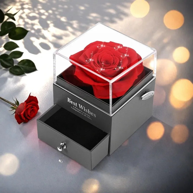 Preserved Red Rose with “I Love You” Necklace – 100 Languages Eternal Flower Gift