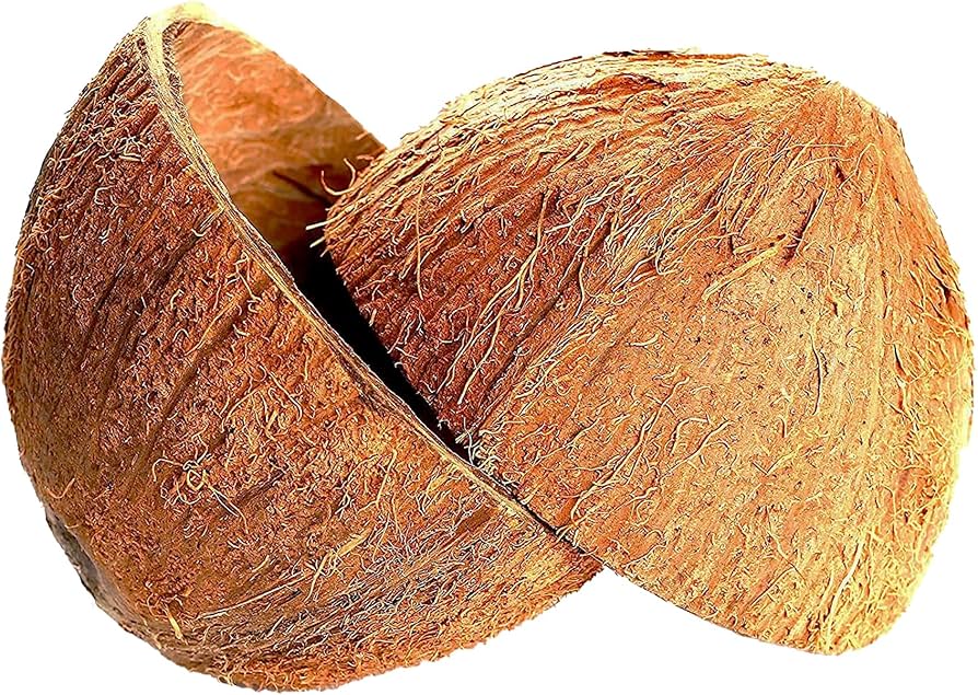 Coconut Shells – Natural, Durable & Multi-Purpose Eco Material 9 Ceylon Original 100% ) 1kg