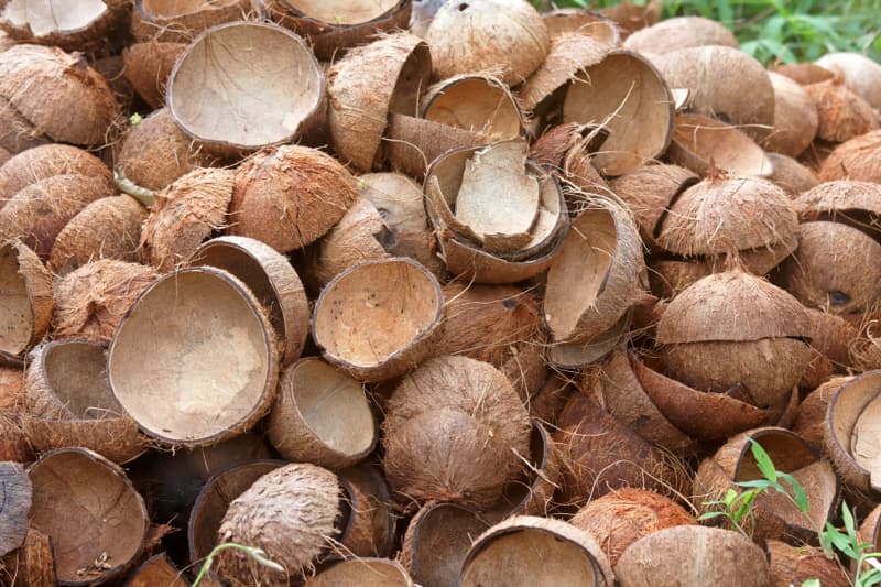 Coconut Shells – Natural, Durable & Multi-Purpose Eco Material 9 Ceylon Original 100% ) 1kg