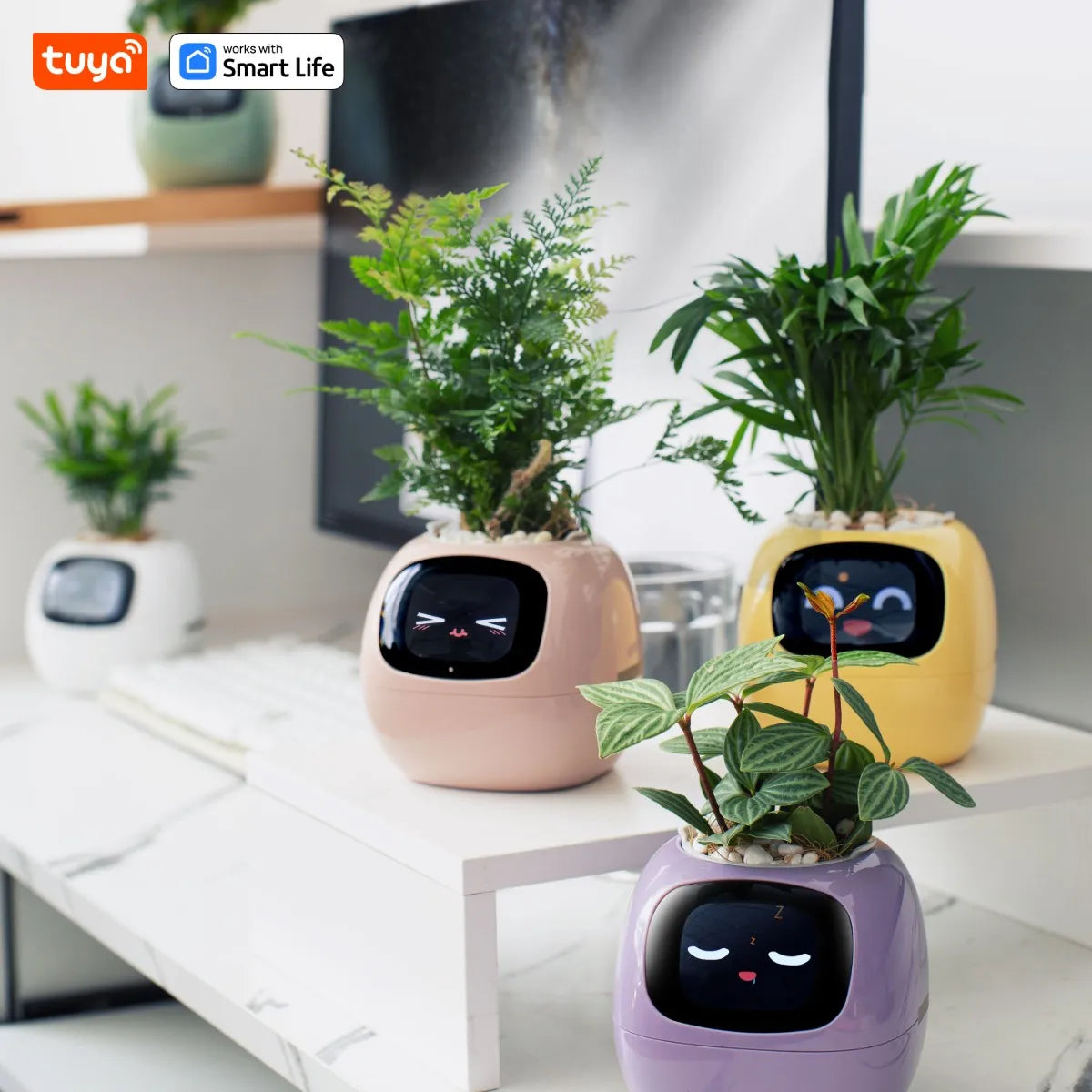 🌱 Smart AI Plant Pot – Intelligent App-Controlled Planter for Effortless Indoor Gardening | Perfect Christmas Tech Gift