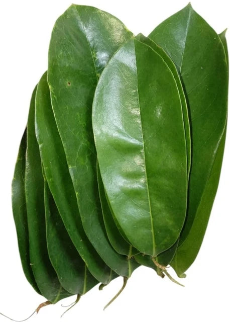 🍃 Dried Soursop Leaves – Pure, Natural & Rich in Herbal Benefits ( Ceylon Original 100% ) 100g