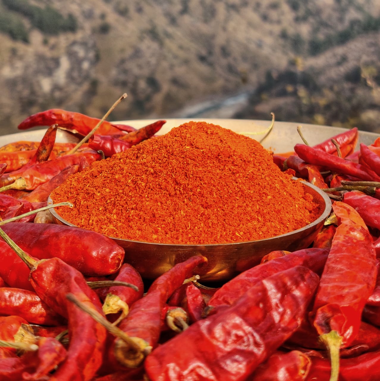 🌶️ Chilli Powder – Pure, Vibrant & Full of Authentic Heat ( Ceylon original 100% ) 1kg