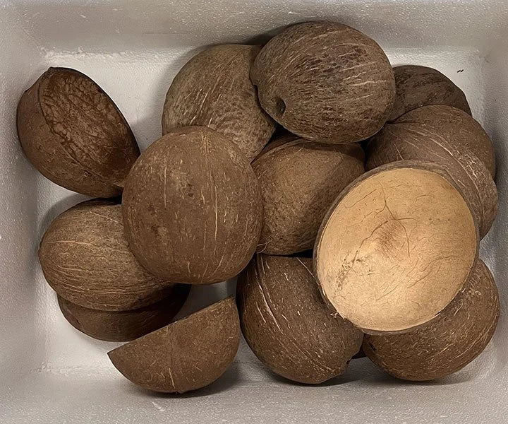 Coconut Shells – Natural, Durable & Multi-Purpose Eco Material 9 Ceylon Original 100% ) 1kg