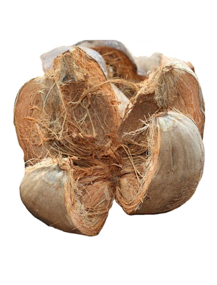 🥥 Coconut Husk – Natural, Durable & Multi-Purpose Fiber Material ( Ceylon Original 100% ) 2kg