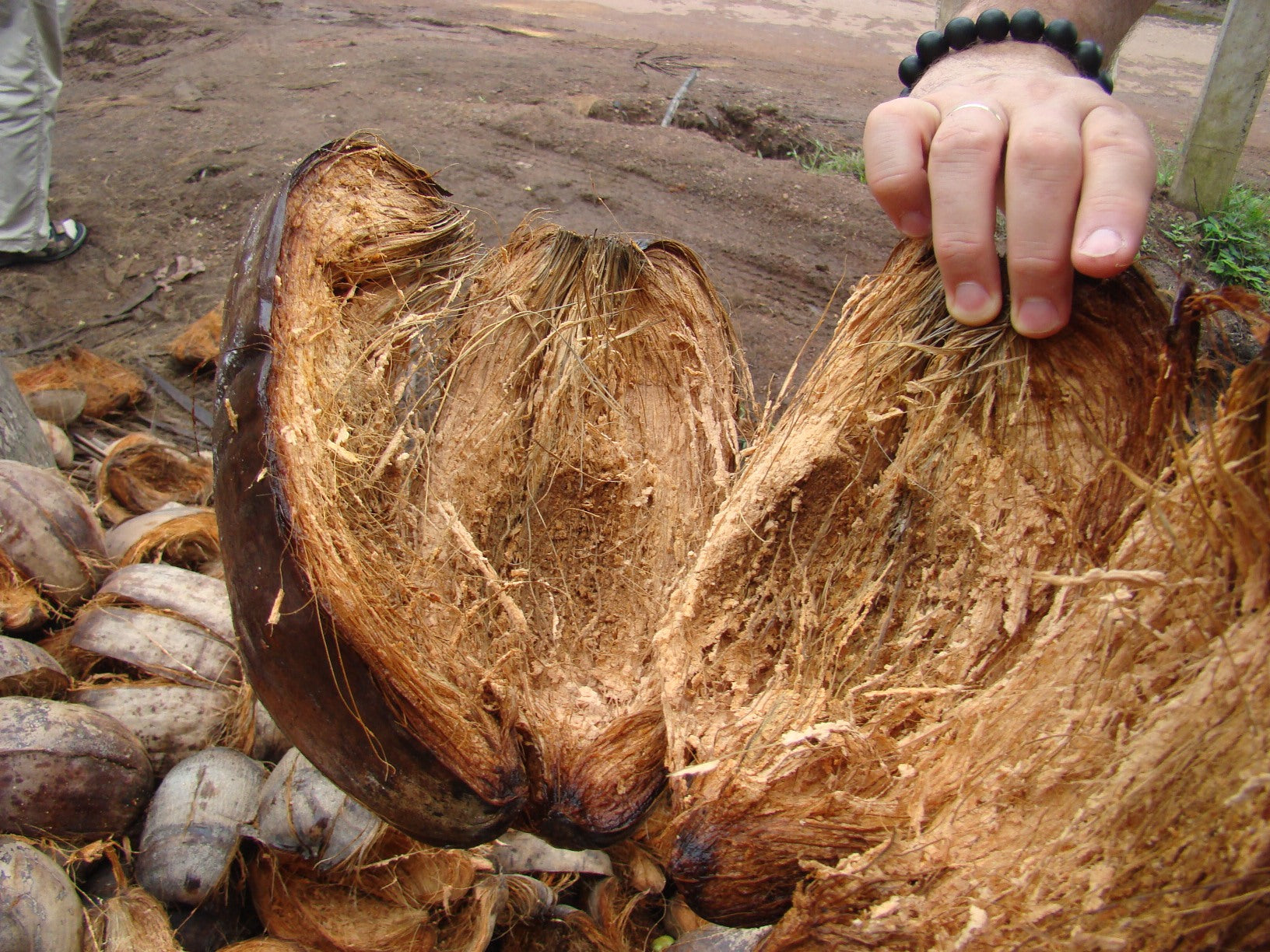 🥥 Coconut Husk – Natural, Durable & Multi-Purpose Fiber Material ( Ceylon Original 100% ) 2kg