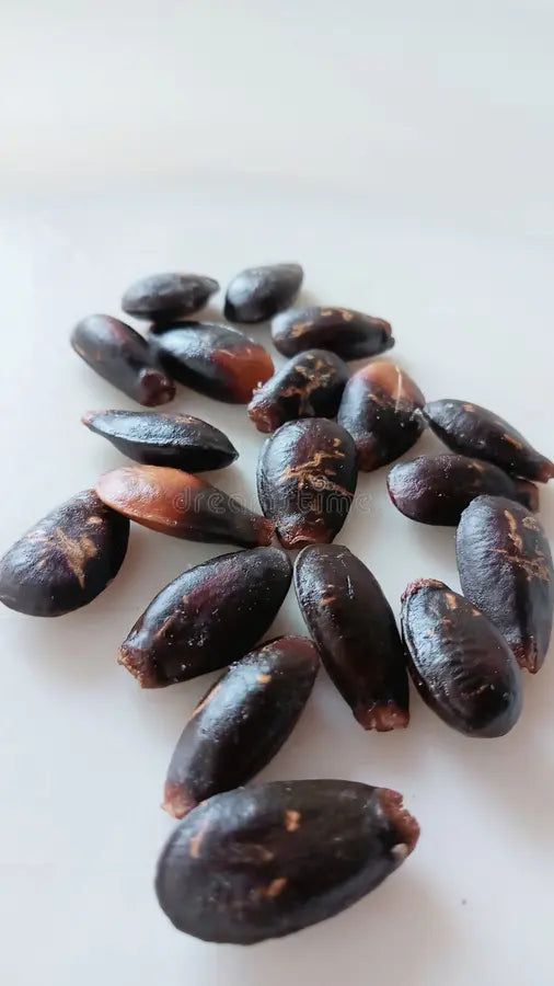 🌱 Soursop Seeds – Fresh, Viable & Ready for Planting ( Ceylon Original 100% ) 100g