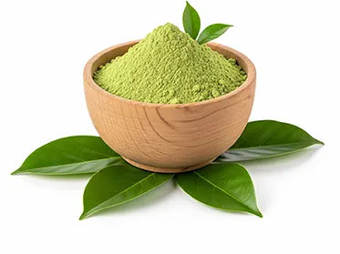 💚 Dried & Grinded Soursop Leaves – Pure, Potent & Ready to Use Herbal Powder ( Ceylon Original 100% ) 100g