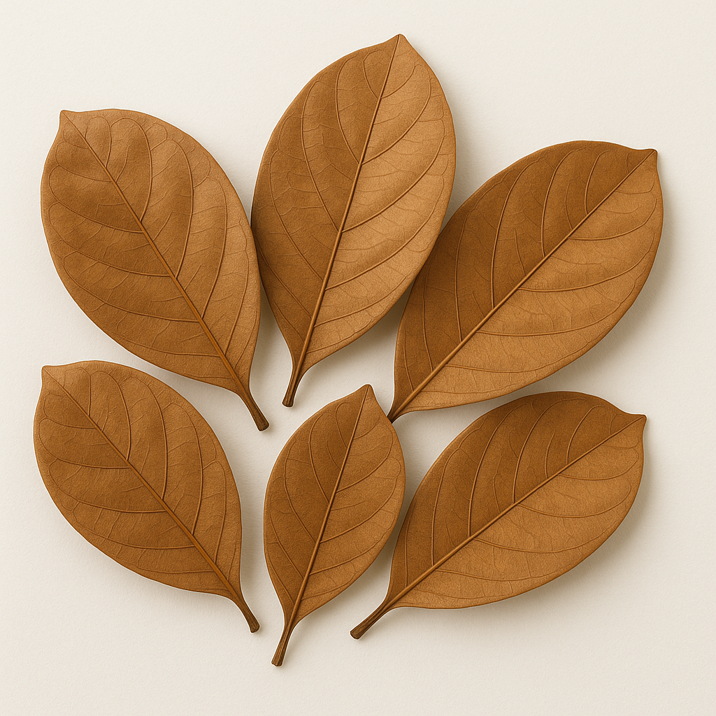 🍃 Dried Jackfruit Leaves – Natural, Long-Lasting & Multi-Purpose ( Ceylon Original 100% ) 100g