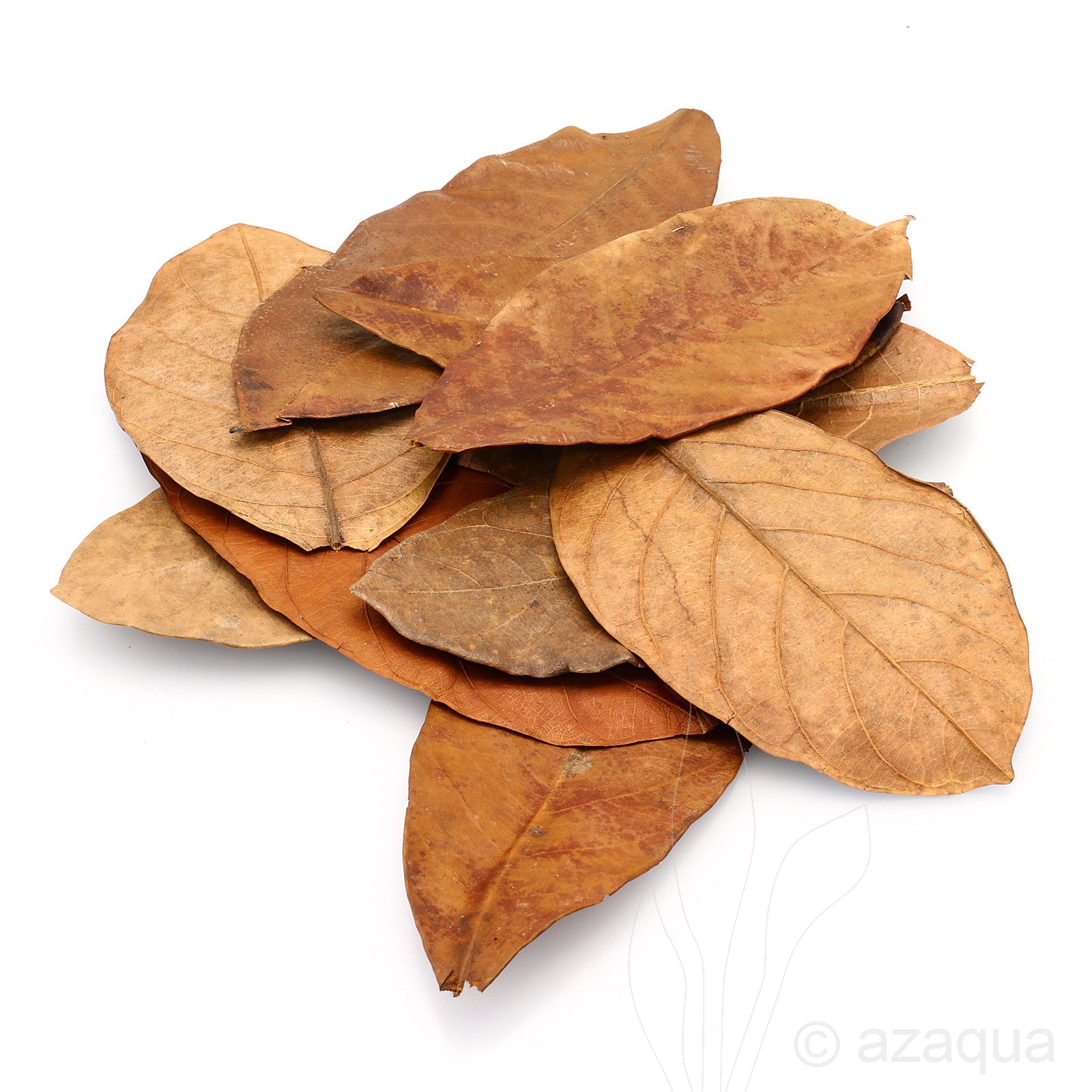 🍃 Dried Jackfruit Leaves – Natural, Long-Lasting & Multi-Purpose ( Ceylon Original 100% ) 100g