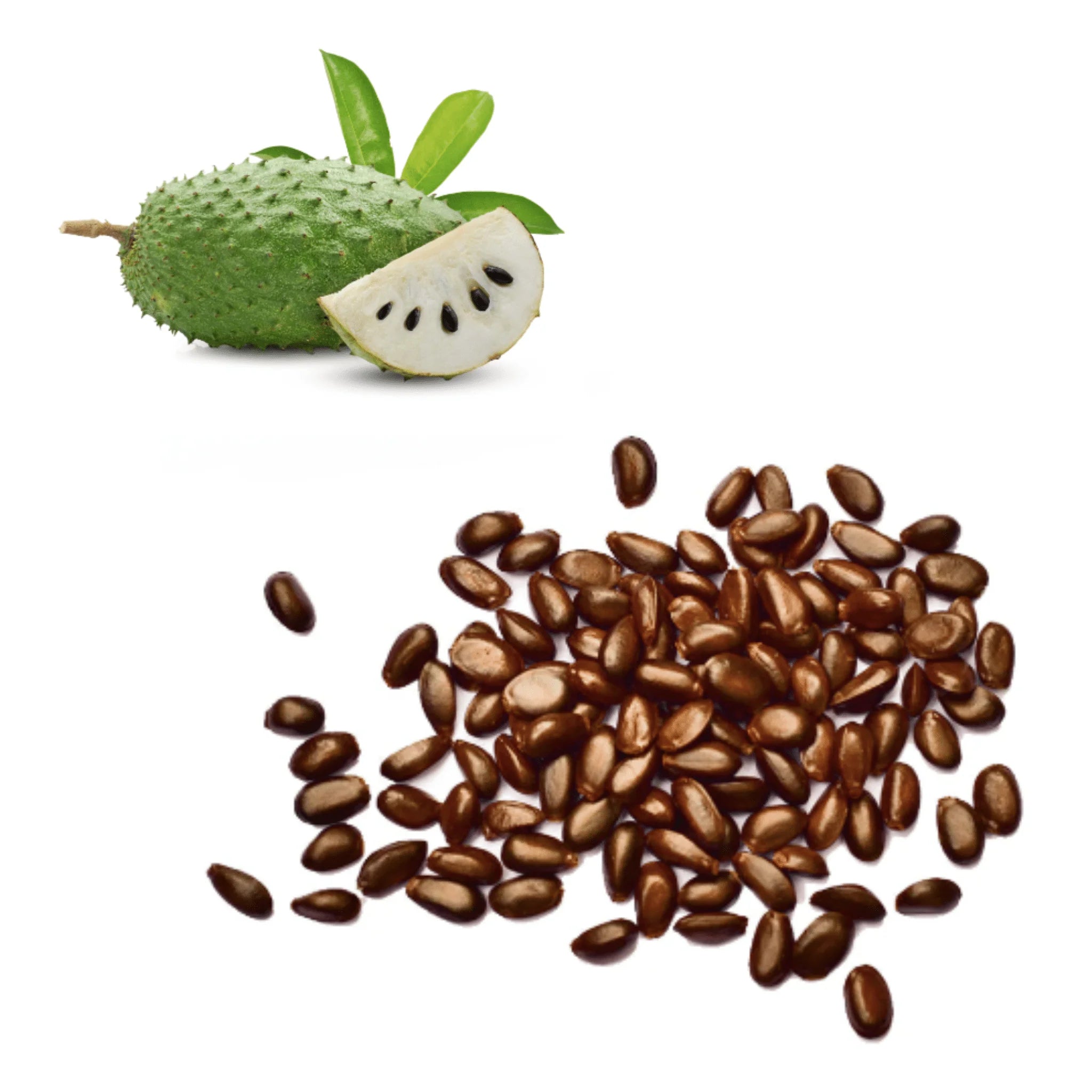 🌱 Soursop Seeds – Fresh, Viable & Ready for Planting ( Ceylon Original 100% ) 100g